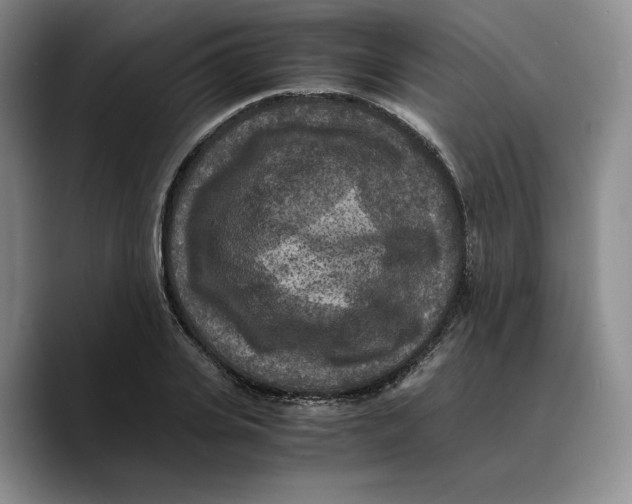 X0000089670935200707201636