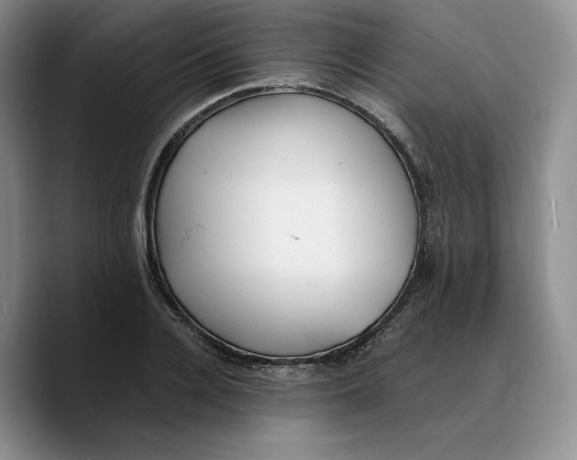 X0000089670936200707201636