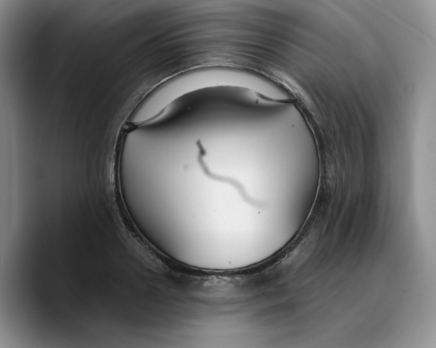 X0000089670938200707201636
