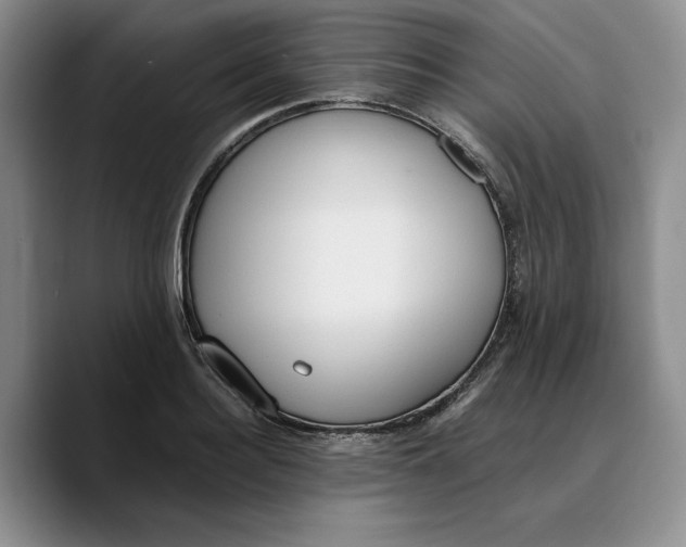 X0000089670940200707201636