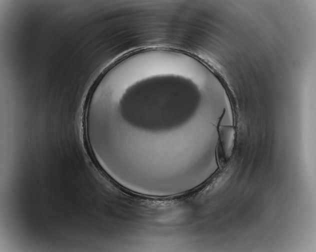 X0000089670941200707201636