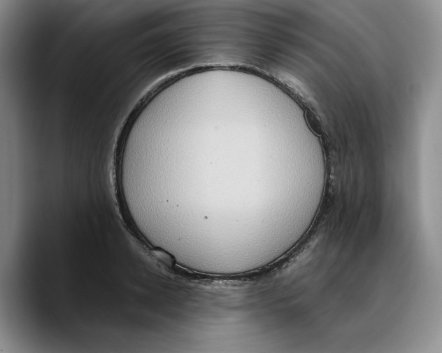 X0000089670942200707201636