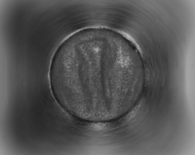 X0000089670943200707201636