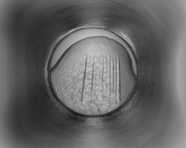 X0000089670944200707201636
