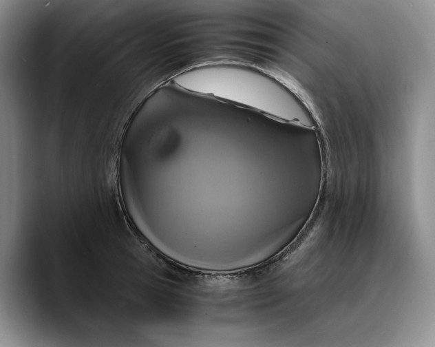 X0000089670945200707201636