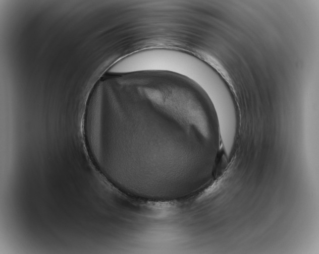 X0000089670946200707201636