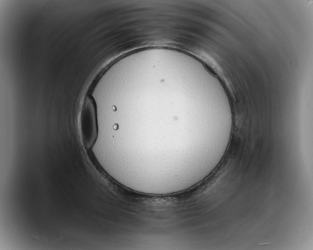 X0000089670947200707201636