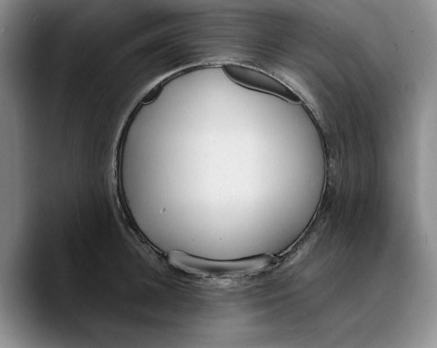 X0000089670948200707201636