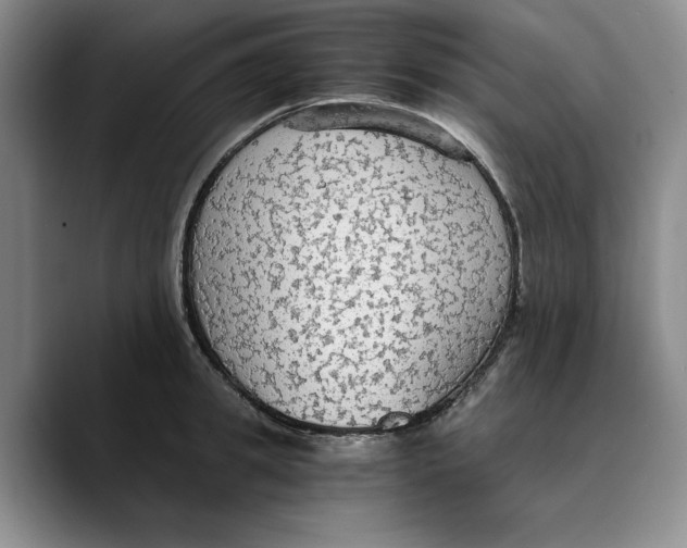 X0000089670949200707201636