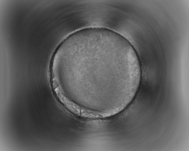 X0000089670950200707201636