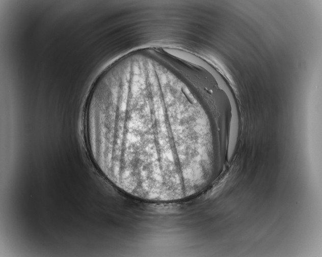 X0000089670952200707201636