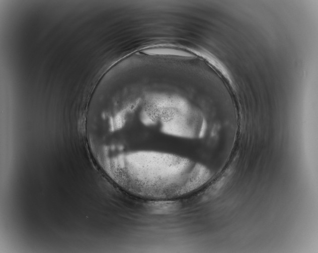 X0000089670953200707201636