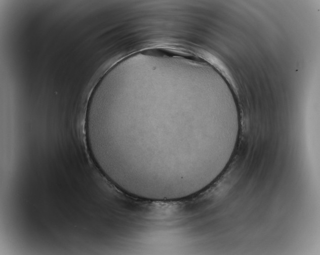 X0000089670954200707201636