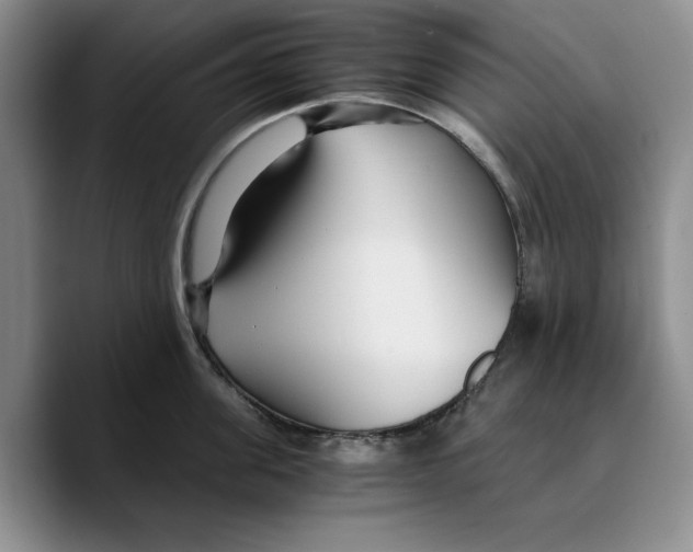 X0000089670955200707201636