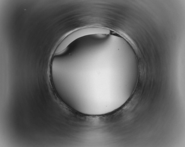X0000089670956200707201636