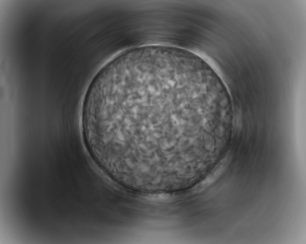 X0000089670957200707201636