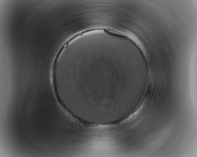 X0000089670958200707201636