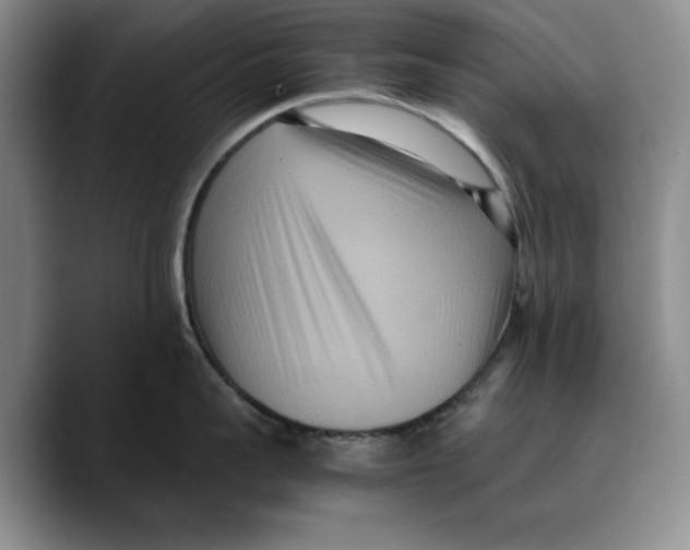 X0000089670959200707201636