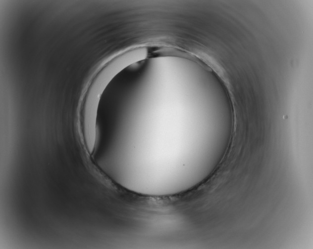 X0000089670960200707201636