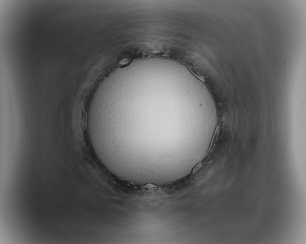 X0000089670961200707201636