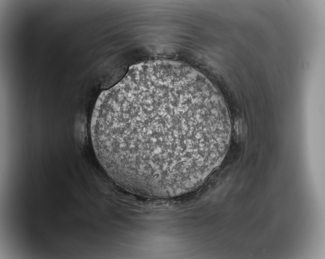 X0000089670963200707201636