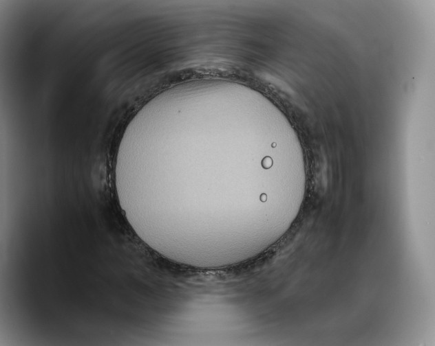 X0000089670966200707201636