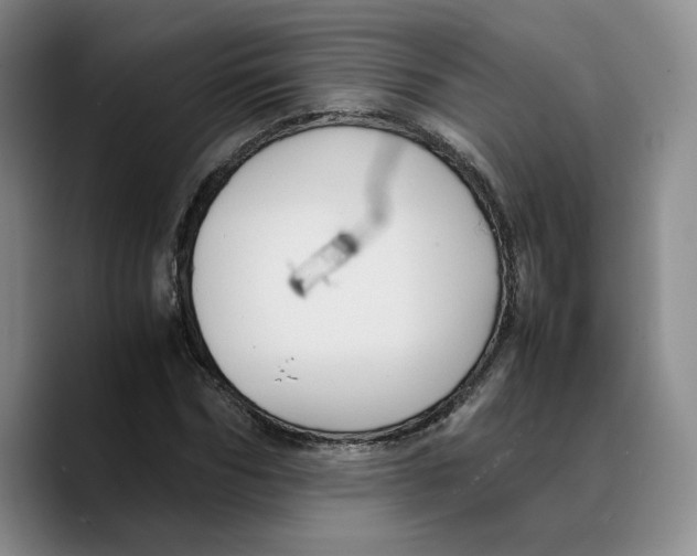 X0000089670970200707201636