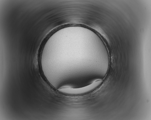 X0000089670972200707201636