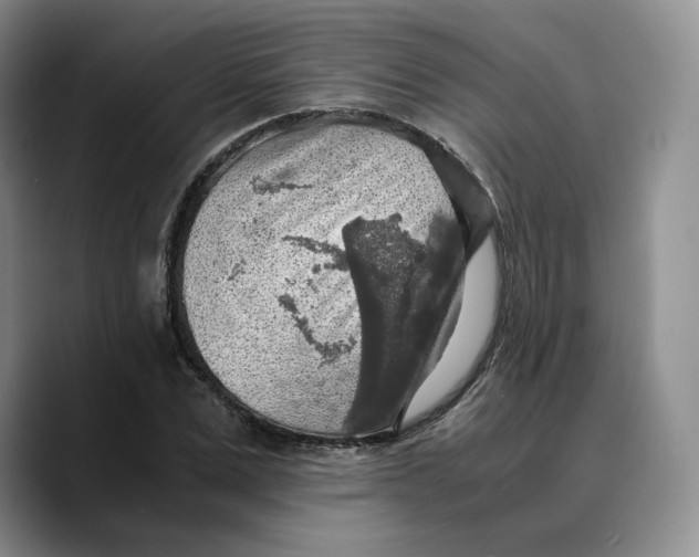 X0000089670975200707201636