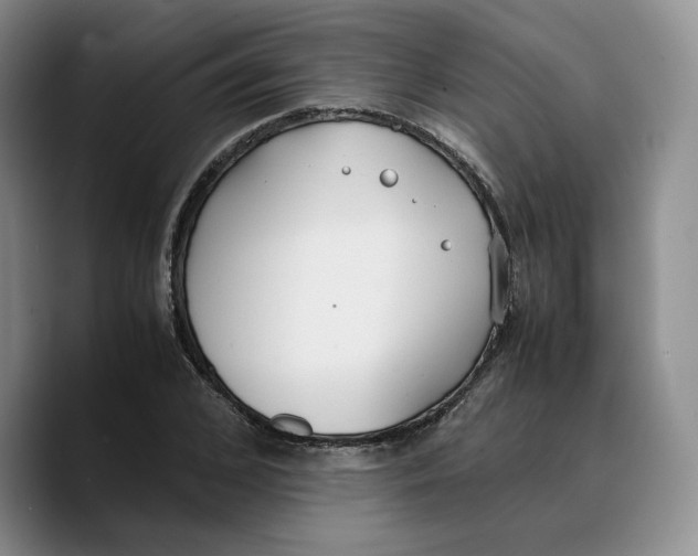 X0000089670976200707201636