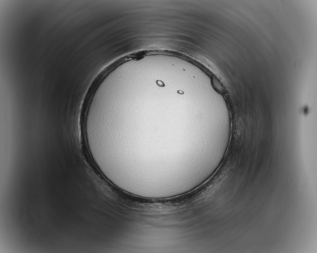 X0000089670980200707201635