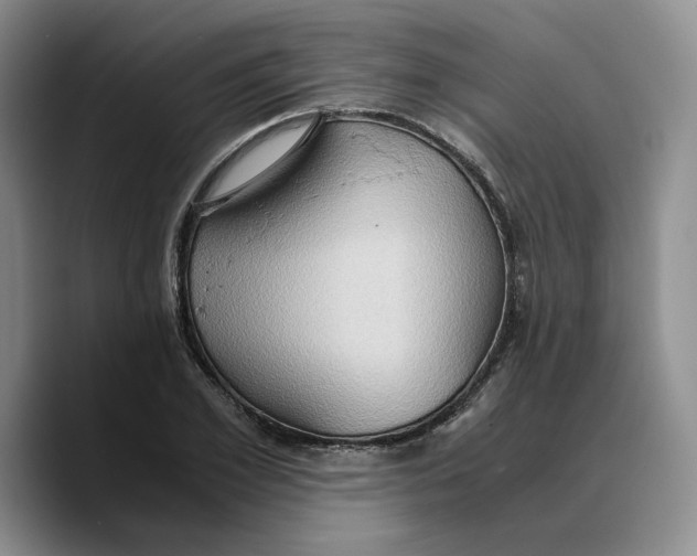 X0000089670981200707201635