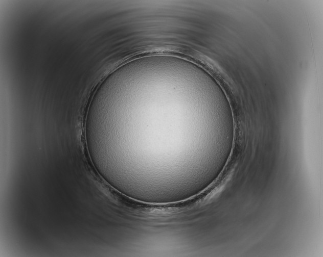 X0000089670985200707201635