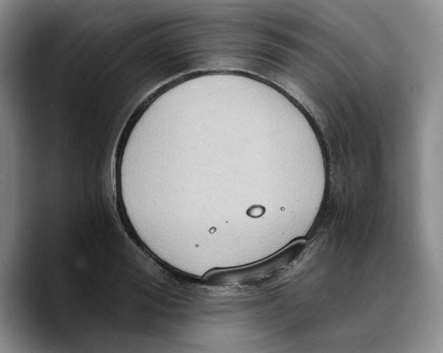 X0000089670988200707201635