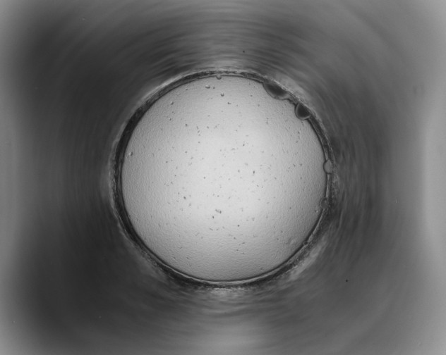 X0000089670989200707201635