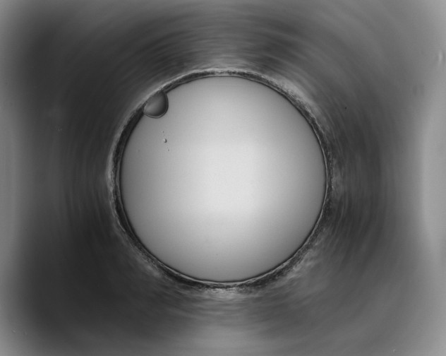 X0000089670990200707201635