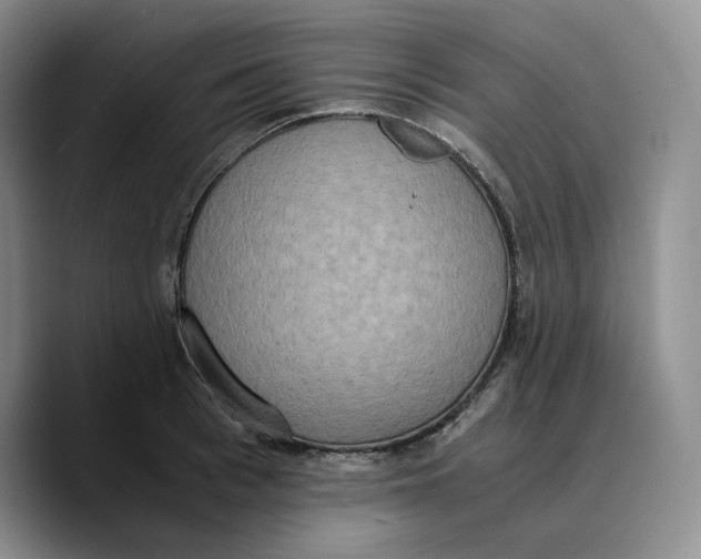 X0000089670993200707201635