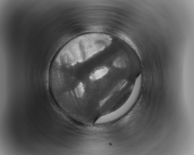 X0000089670994200707201635