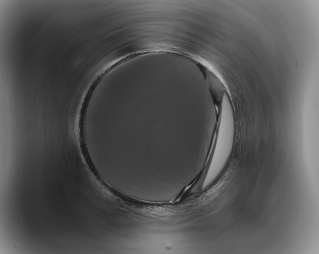 X0000089670995200707201635