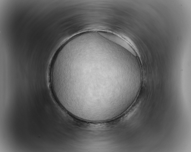 X0000089670997200707201635