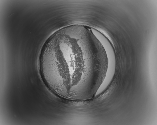 X0000089670999200707201635