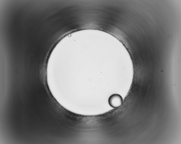 X0000089671000200707201635