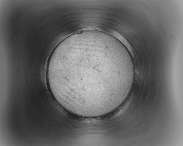 X0000089671002200707201635