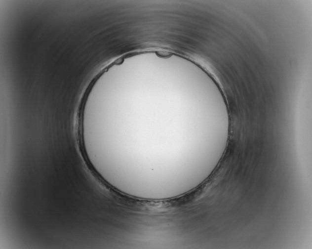X0000089671003200707201635