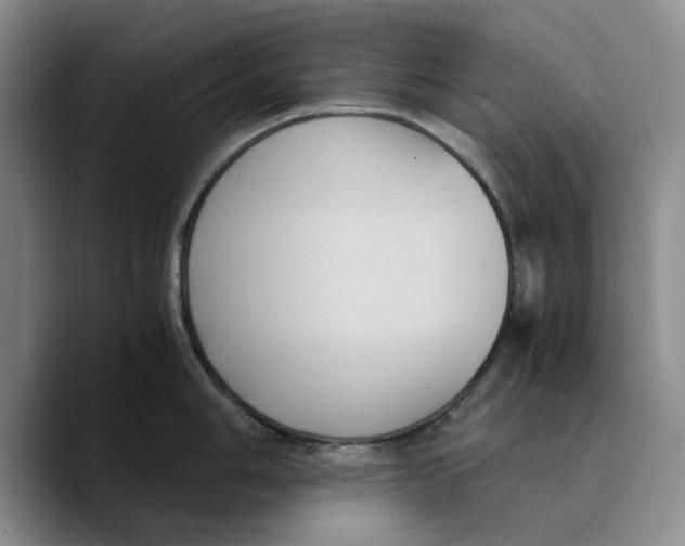 X0000089671006200707201635