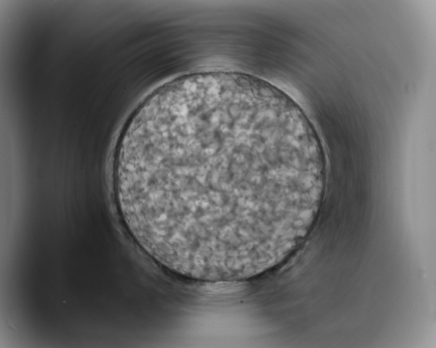 X0000089671008200707201635
