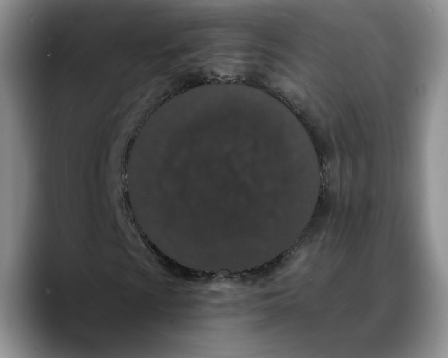 X0000089671009200707201634