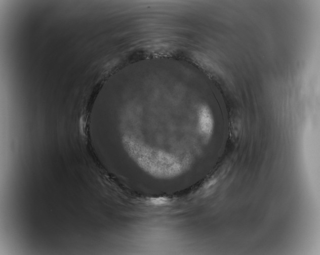 X0000089671010200707201634
