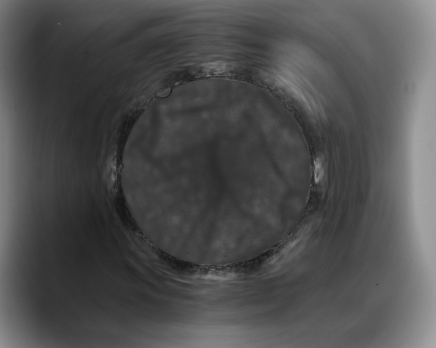 X0000089671011200707201634