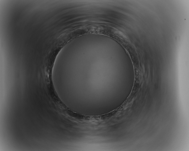 X0000089671013200707201635